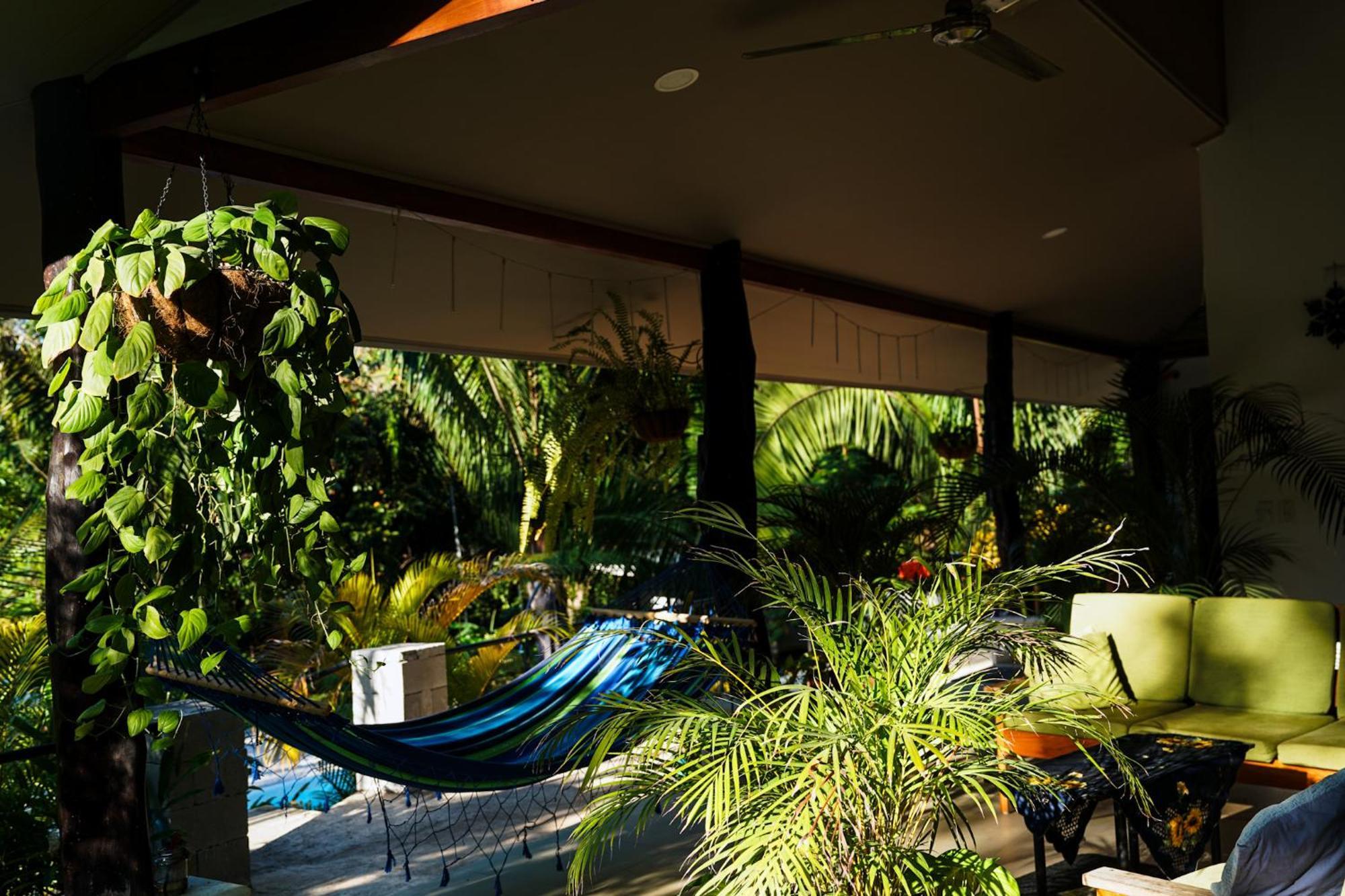 House In The Palm Forest Puerto Carrillo Extérieur photo