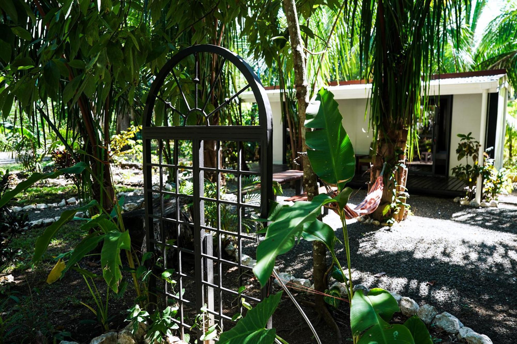 House In The Palm Forest Puerto Carrillo Extérieur photo