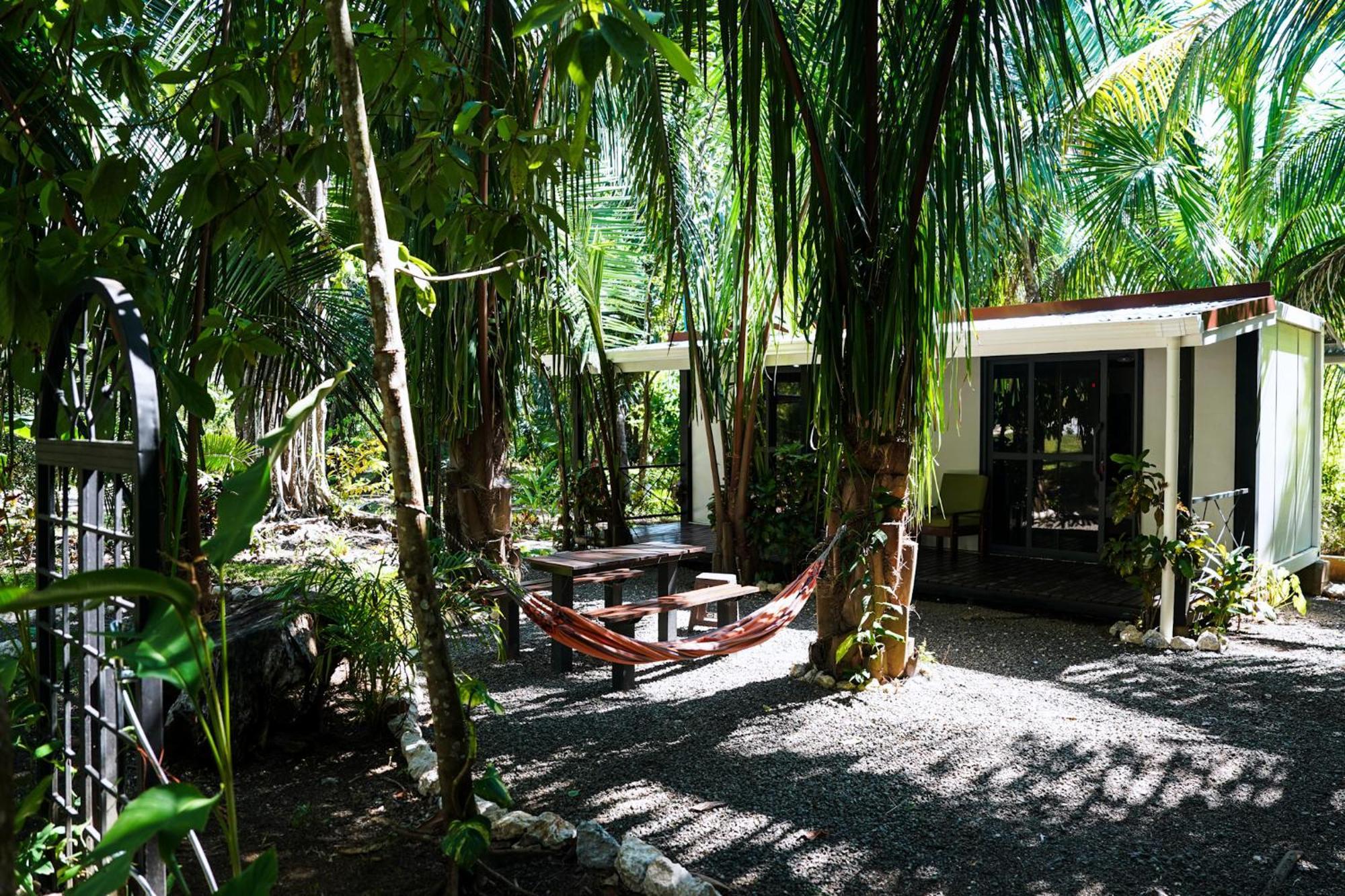 House In The Palm Forest Puerto Carrillo Extérieur photo