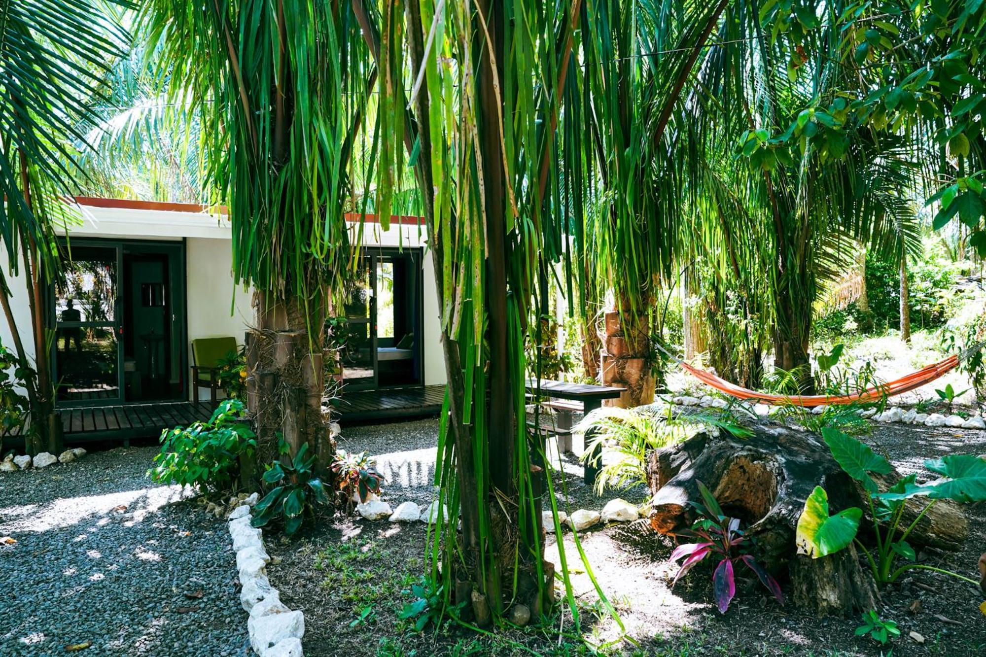 House In The Palm Forest Puerto Carrillo Extérieur photo