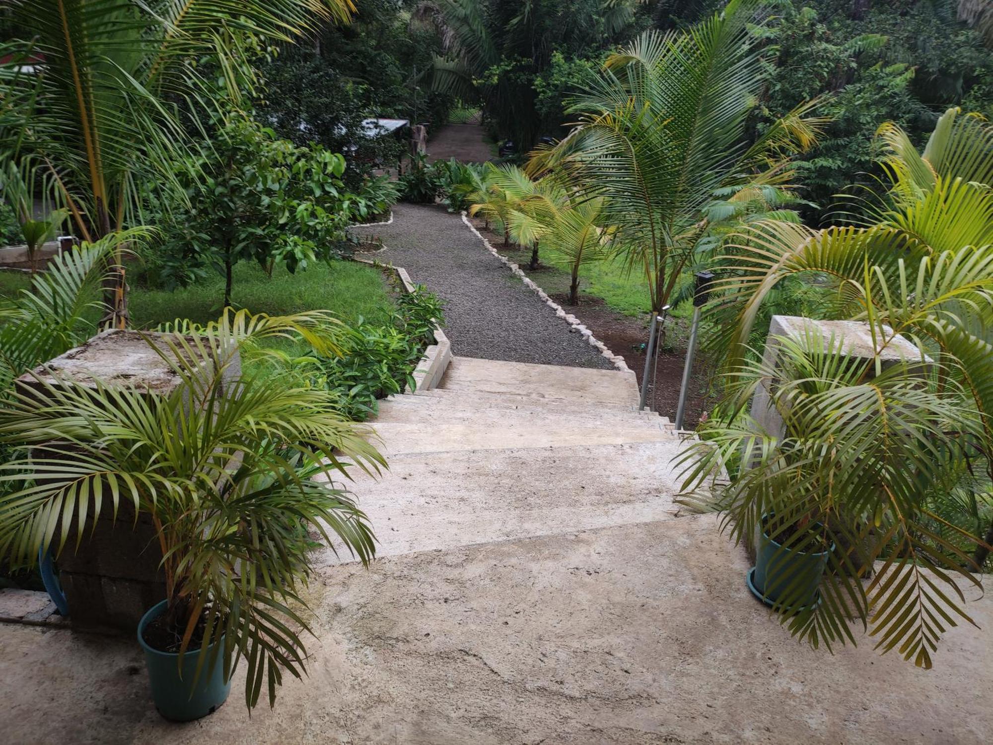 House In The Palm Forest Puerto Carrillo Extérieur photo
