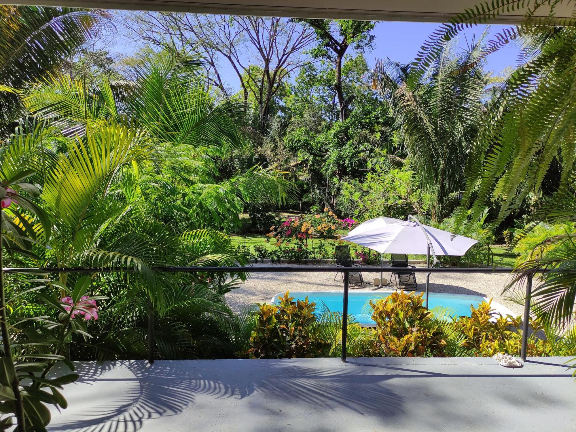 House In The Palm Forest Puerto Carrillo Extérieur photo